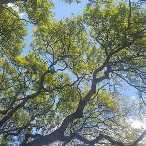 Meet your Posher, Denny